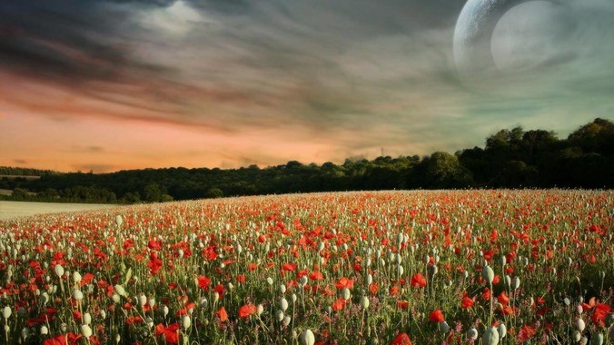 你生活中做过最自律的一件事是什么?